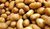 Pflanzkartoffel Annabelle 1 kg - Saatkartoffel